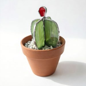Glass Cactus in Terracotta Pot