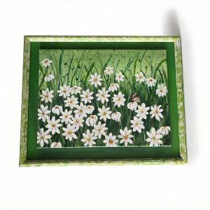 Daisy Field — Original Framed Acrylic Board