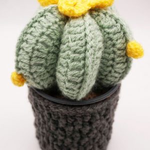 Crochet Cactus