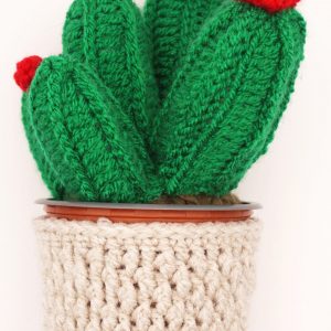 Crochet Cactus