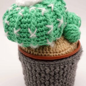Crochet Cactus