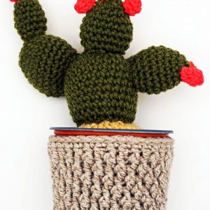 Crochet Cactus
