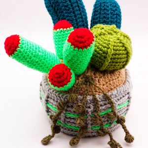Crochet Cactus