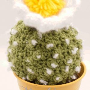 Crochet Cactus