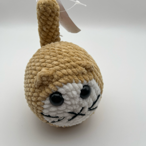 Beige Cat