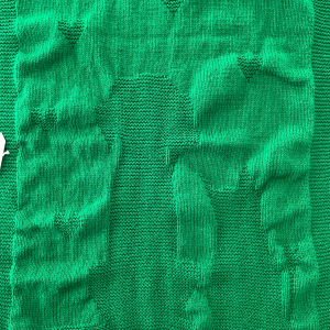 Dog & Cat Green Blanket