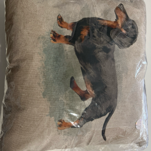 Dachsund Cushion