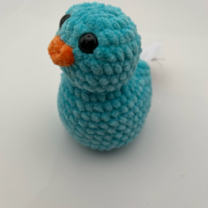 Blue Duck