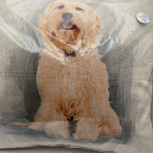 Cockerpoodle Cushion