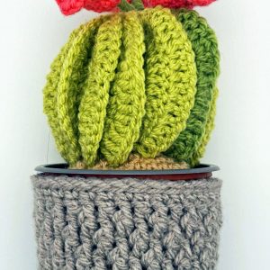 Crochet Cactus
