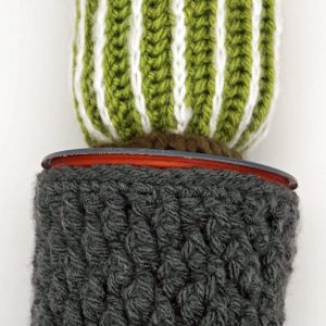 Crochet Cactus