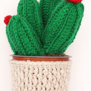 Crochet Cactus
