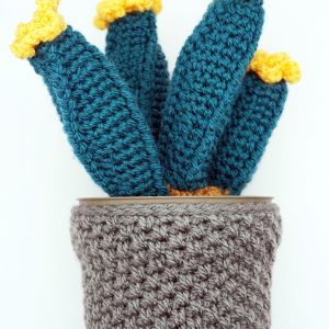 Crochet Cactus
