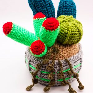 Crochet Cactus