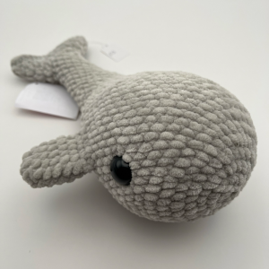 Grey Whale