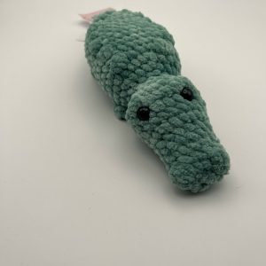 Medium Gator