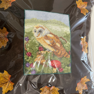 Owl & Leaf Cross Stitch Cushion