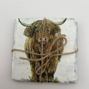 Set of 2 Highland Cow Coasters