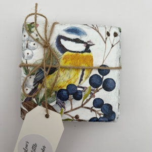 Set of 4 Blue Tit Coasters