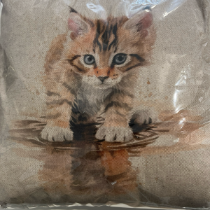 Tabby Kitten Cushion